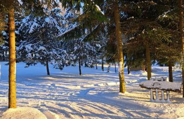 Pod Dębem Bis - Foto 2