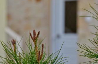 Villa Evdokia II - Foto 20