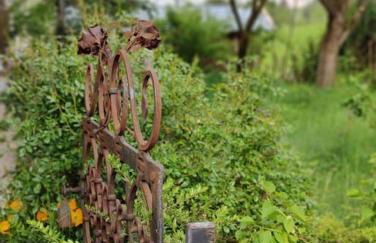 große Wohnung mit Dachterrasse - Foto 24
