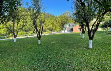 Escape to Nature - Dolac Franić - Foto 20