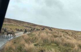 176 Marrell - Foto 13