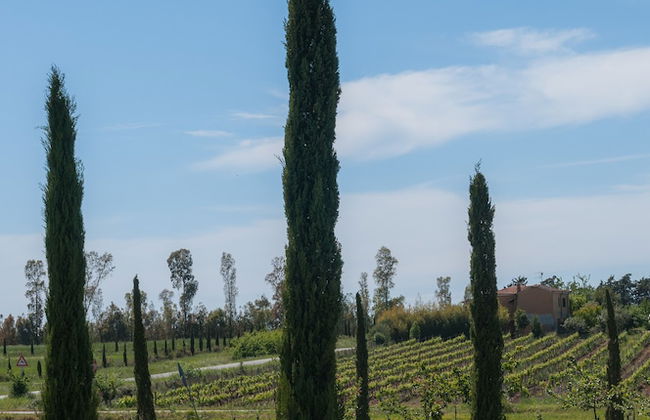 Podere del Priorato - Foto 73