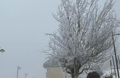 Biznaga Nevada - Foto 45