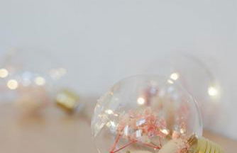 Feldbrise-Fehmarn - Foto 3