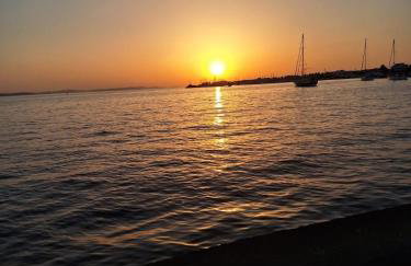 Serenity Countryside Mobile Houses - Photo 30