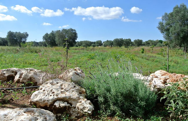 Agriturismo Villa Coluccia - Foto 42
