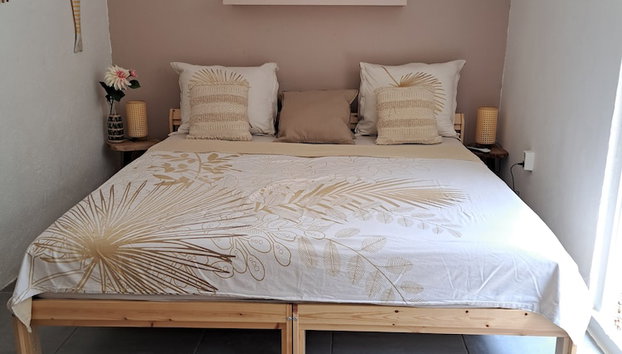 BnBBonaire - Photo 3, Room