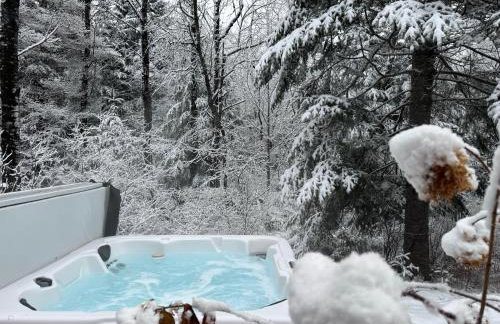 1800OR Unique 'yurt' home in Bretton Woods 1 mi to skiing firepit foosball beach Hot tub - Foto 10