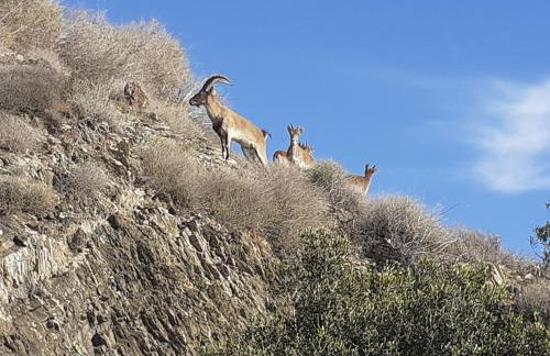 Vistas al Mar - Foto 40