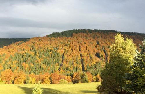 Ferienwohnung Gabelbachskopf - Foto 16