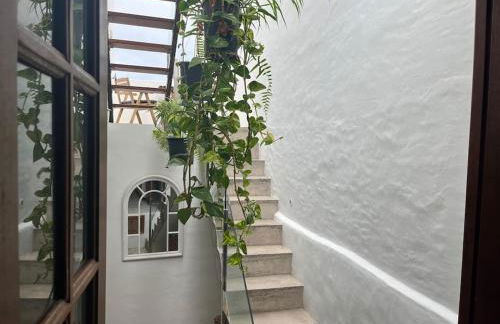 Vistas impresionantes al mar de Garachico - Foto 17