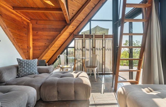 Bosque Geométrico - Foto 39