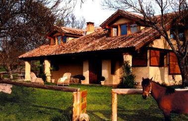 Las Casas del Palomar I & II - Photo 5