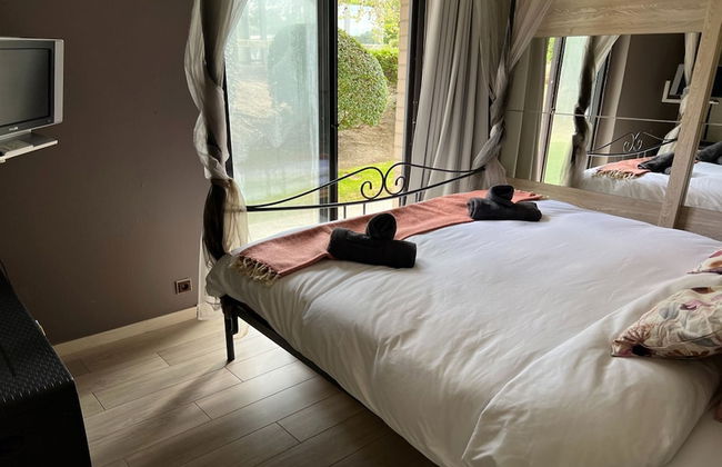 Ster Der Zee On Sea Shore - Foto 2