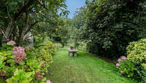 La Torrentera de Cantabria - Foto 4