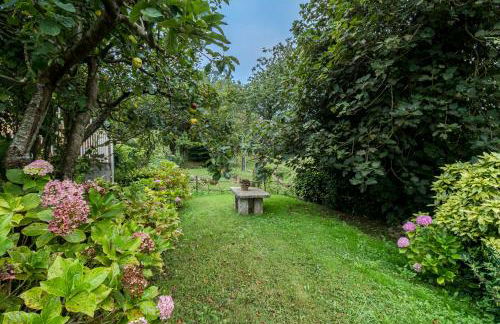 La Torrentera de Cantabria - Foto 4