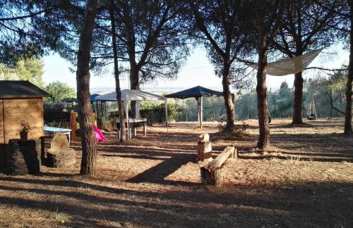 Dolce Vita - Foto 56