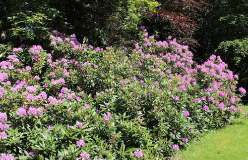 Spacious Cottage in the Grounds of a Scottish Castle - Photo 19