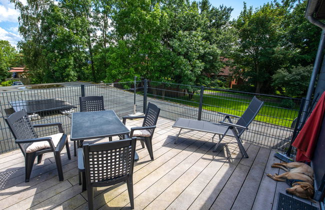 Seeschwalbe - Foto 1