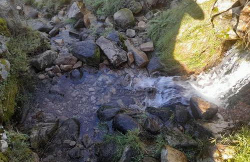 Estrela da Serra - Foto 41