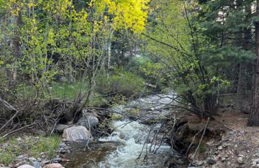 Cozy Cabin on the Creek - Foto 41