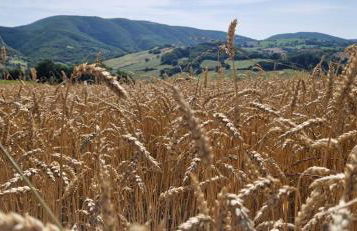 Agriturismo La Corte Sul Lago - Foto 25