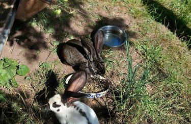 Urlaub an der Grenze - Foto 38