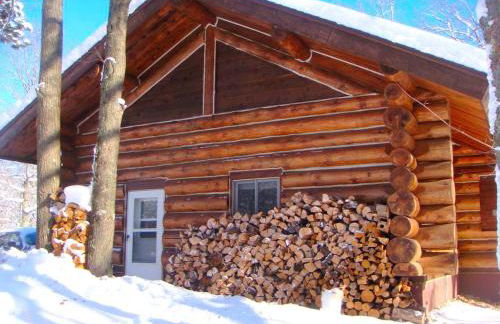 Custom-Built Family Cabin in Manistee National Forest, Michigan - Foto 21