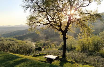 Agriturismo La Forestaria - Foto 41