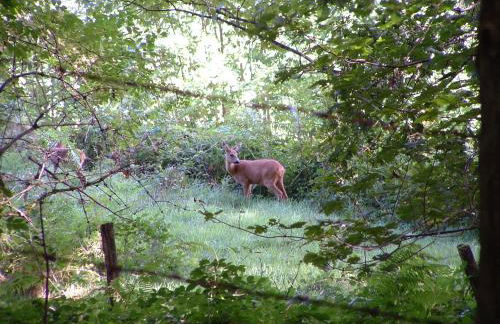 Villa Cora Venez neuve avec SPA - Foto 37