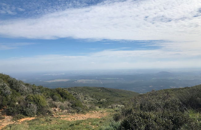 Terra Luso - Foto 53