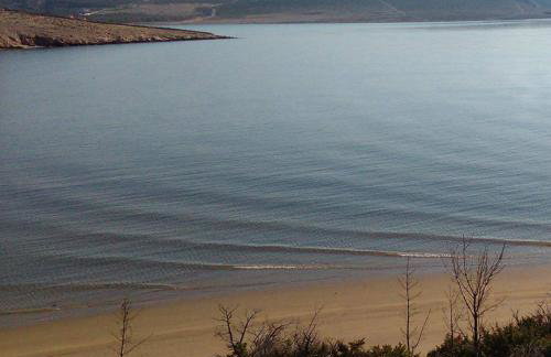 Apartman Salvia - Foto 11