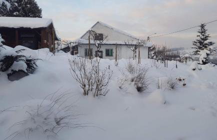 Staś -przy szkole nr 3 w Skawie - Foto 9