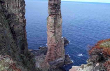 51 Dundas Street - Foto 16