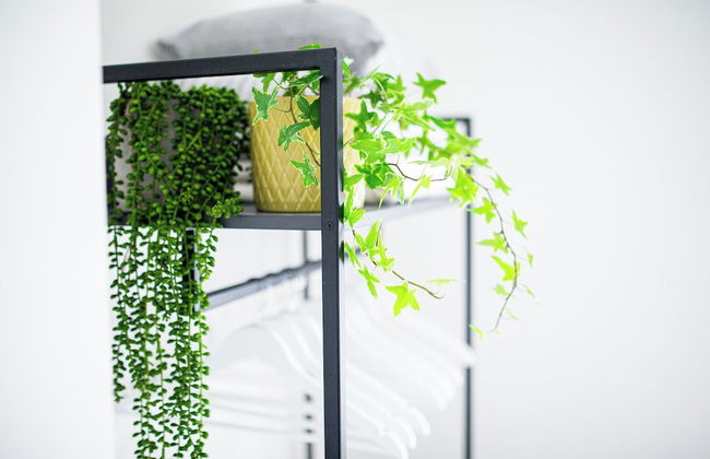 Stunning Townhouse with Large Garden - Photo 3