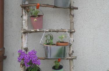 Ferienwohnungen Hering - Foto 22