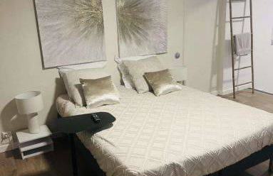 Loft ravissant 45m2 Jacuzzi RVB NIGHT 2 ÉTABLISSEMENT FERMÉ DÉFINITIVEMENT - Foto 7