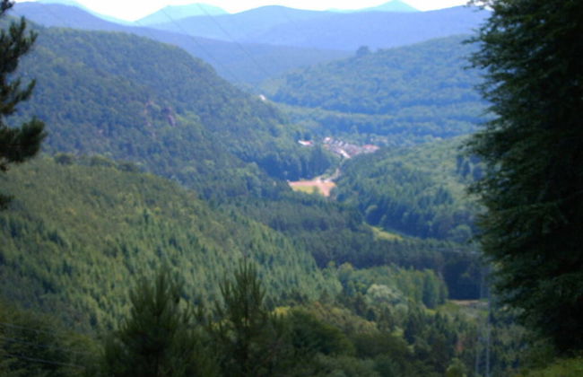 Holiday Apartment on Breitenberg - Photo 15