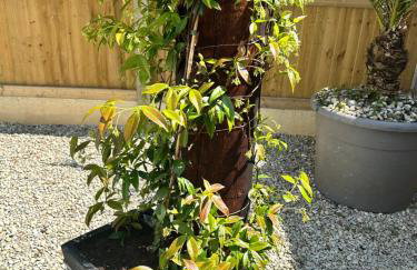 Marsie Lodge - Photo 4