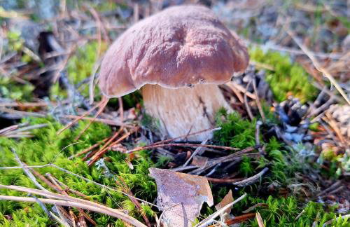 Strefa Relaksu-Piece - Foto 24