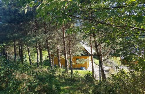 Panorama Sucha Góra - Foto 15