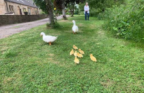 Four bed barn conversion Junction 37 38 M1 - Foto 32