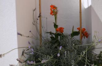 Casa Low Cost - Foto 26