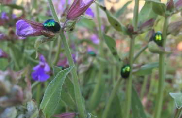 Agriturismo Mele - Foto 37