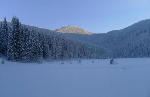 Ferienhaus in Rinchnach am Arbersee - Foto 31