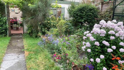 Little Reeds - Foto 3