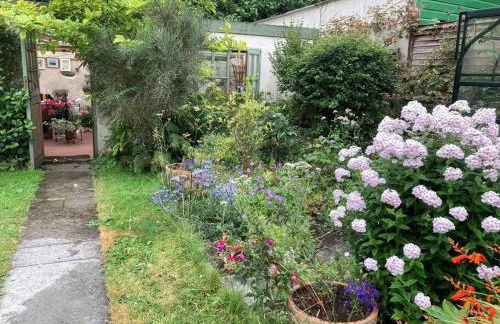 Little Reeds - Foto 3