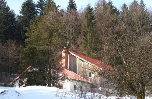 Grillnhäusl - Ruheoase in Alleinlage mit Sauna, Erlebnisstadl & Rehen vor der Haustür - Foto 6
