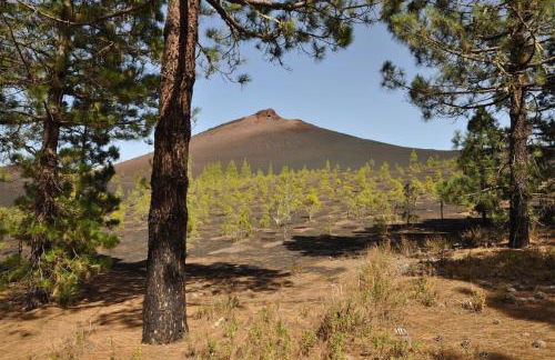 Salva Reina - Foto 6