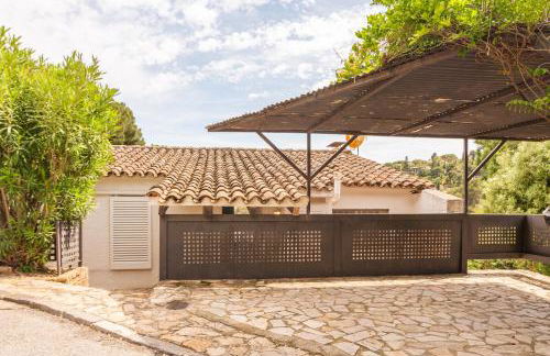 Margarita - Photo 21